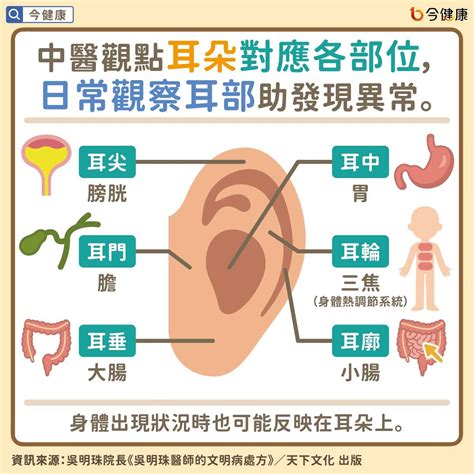 耳洞綠色分泌物|從耳朵看健康！ 冒「1顏色」恐是心臟警訊 